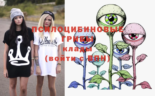 бошки Бежецк