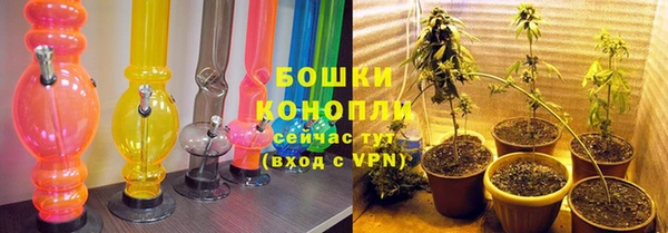 spice Вяземский