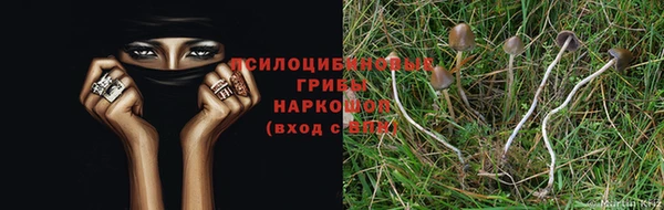 spice Вяземский