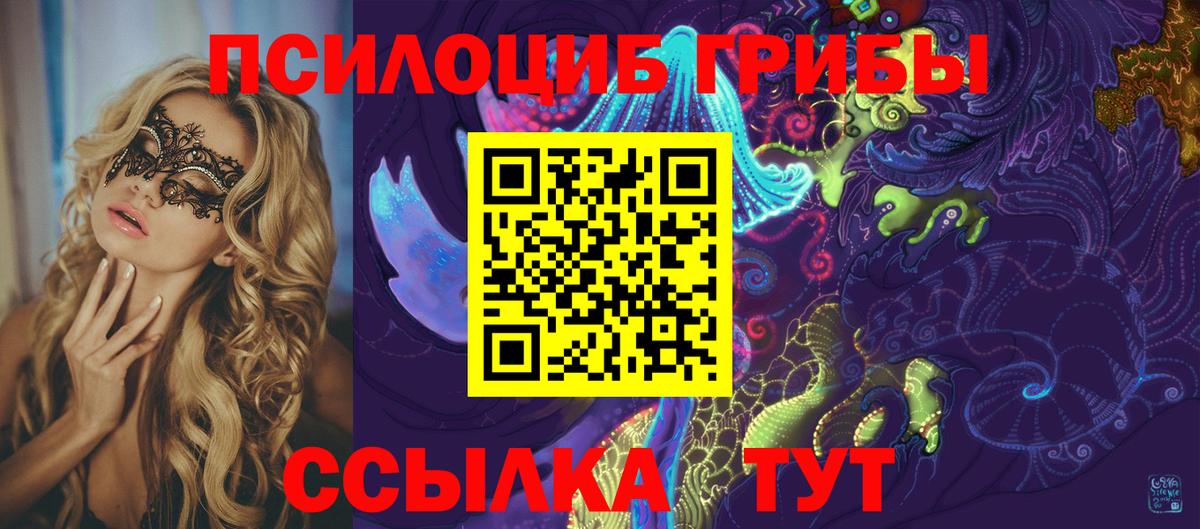 Галлюциногенные грибы Psilocybe  Георгиевск 